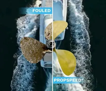 PROSPEED KIT GRANDE ANTIVEGETATIVA ASSI ELICHE FLAP