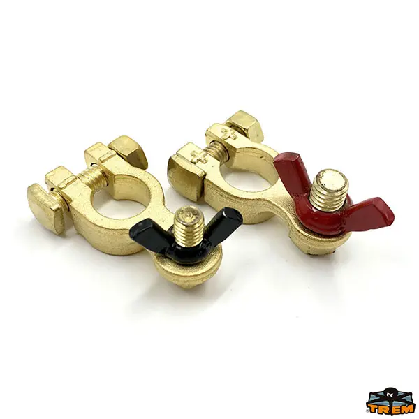 Coppia morsetti in bronzo per batteria 